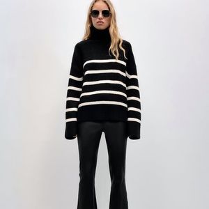 Zara Knit Turtleneck Sweater
